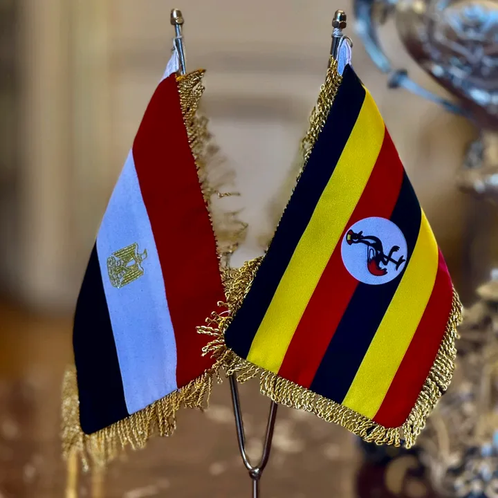 I'm lonely late at night