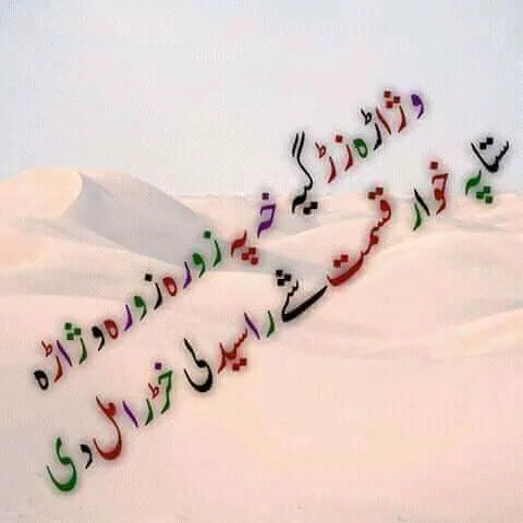 gulkhaliq