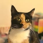 Marblelicious
