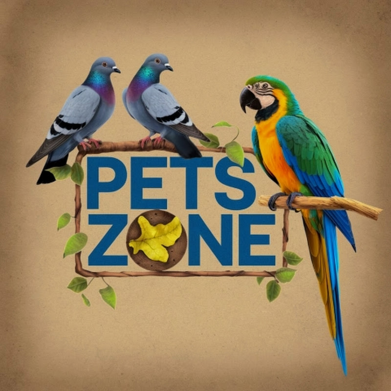 Pets Zone 
