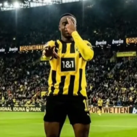 BVB.ZONE