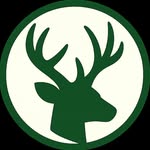 WHAT IF WILD LIFE - AI VIDEOS