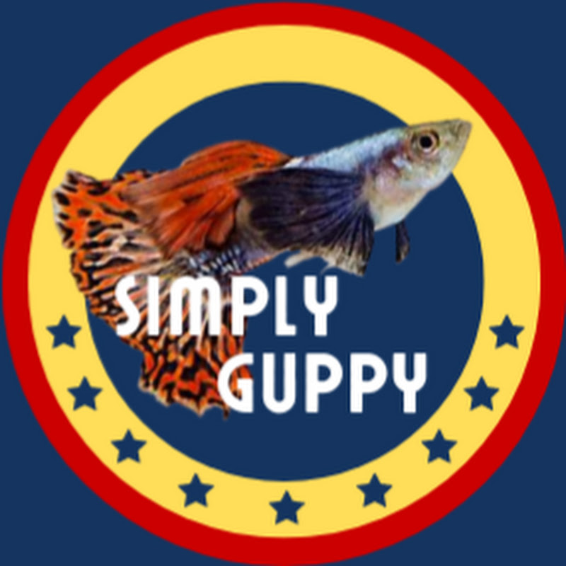 Simply Guppy