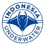 INDONESIA UNDERWATER