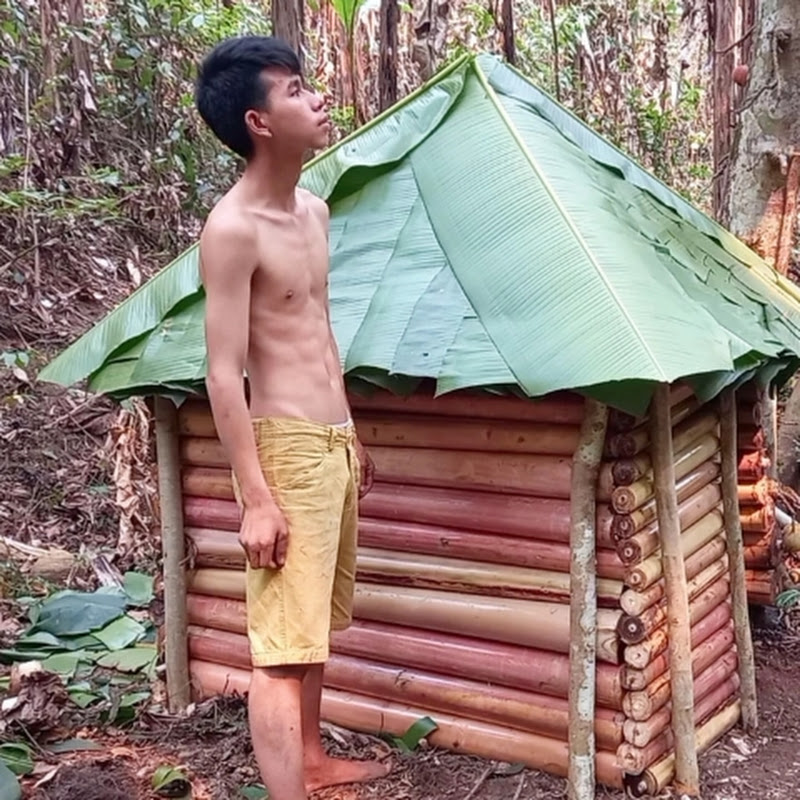 Find food In the forest