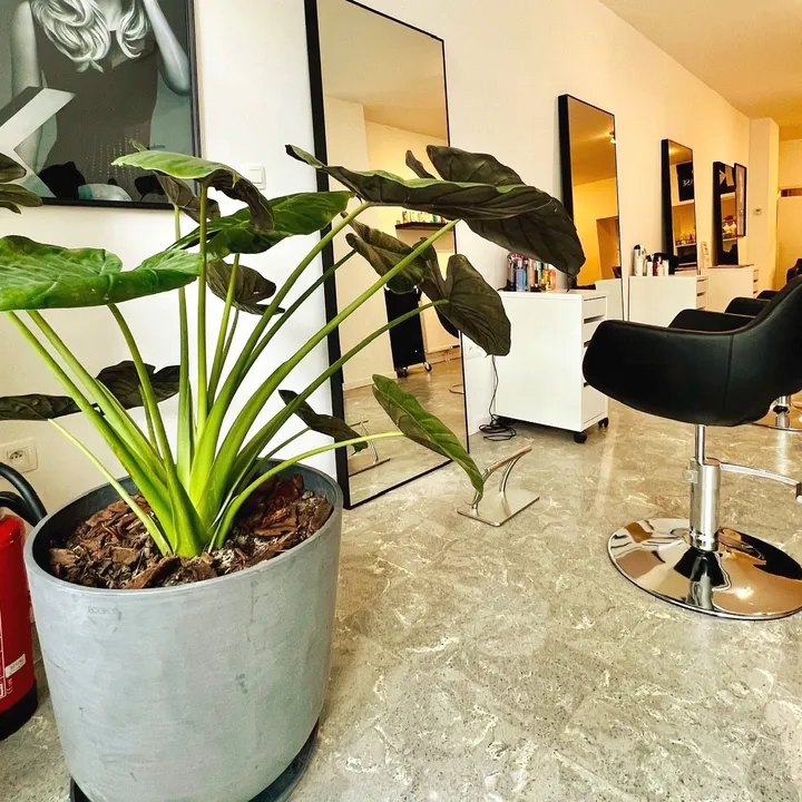 Salon by kourk