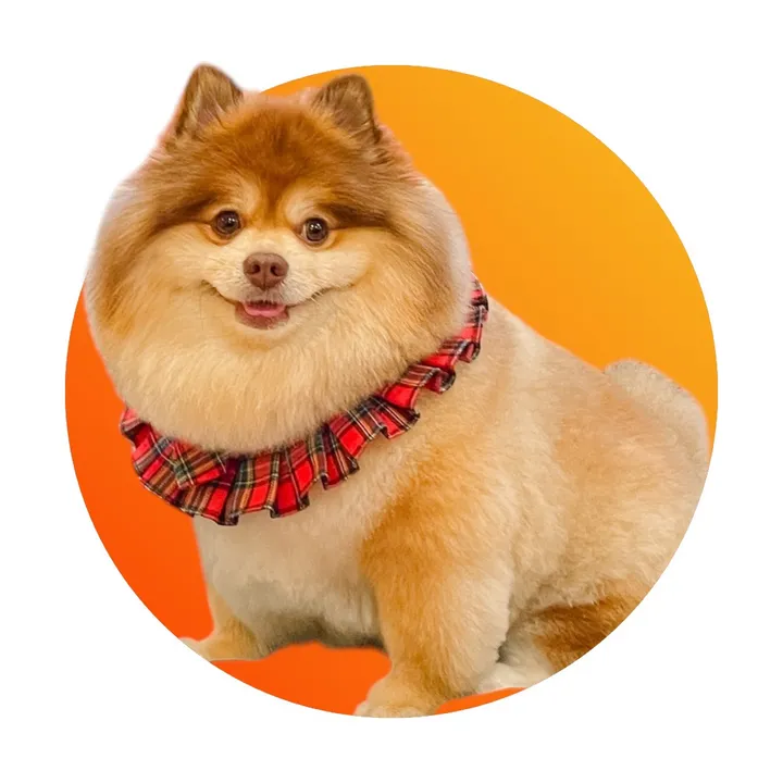 มานะสตอรี่ - ꒰🐶꒱  ༘°