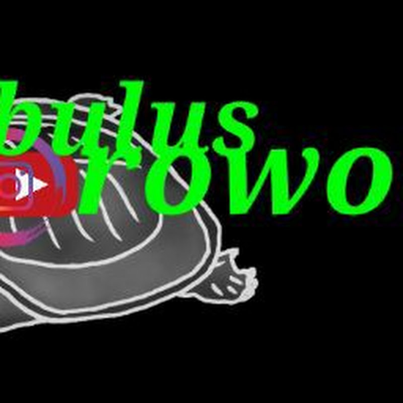 bulus rowo
