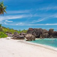Paradise Living