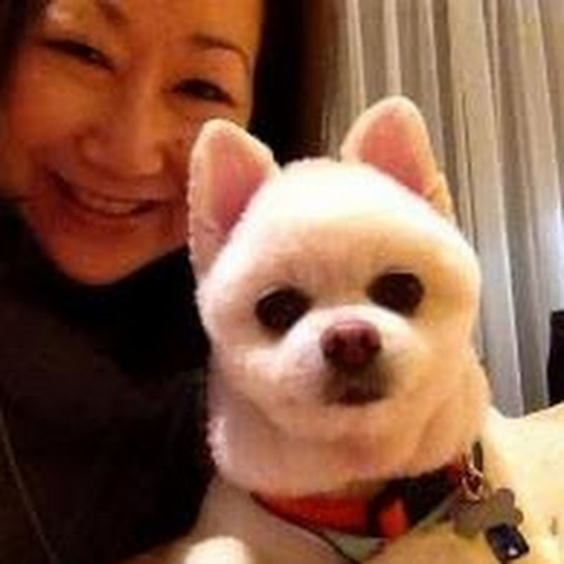 Kim, Bandit and Sinbad