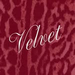 Velvet 🐆