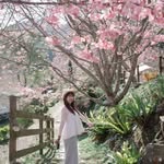 三寶媽咪Angel愛旅行🧳⛺️✈️