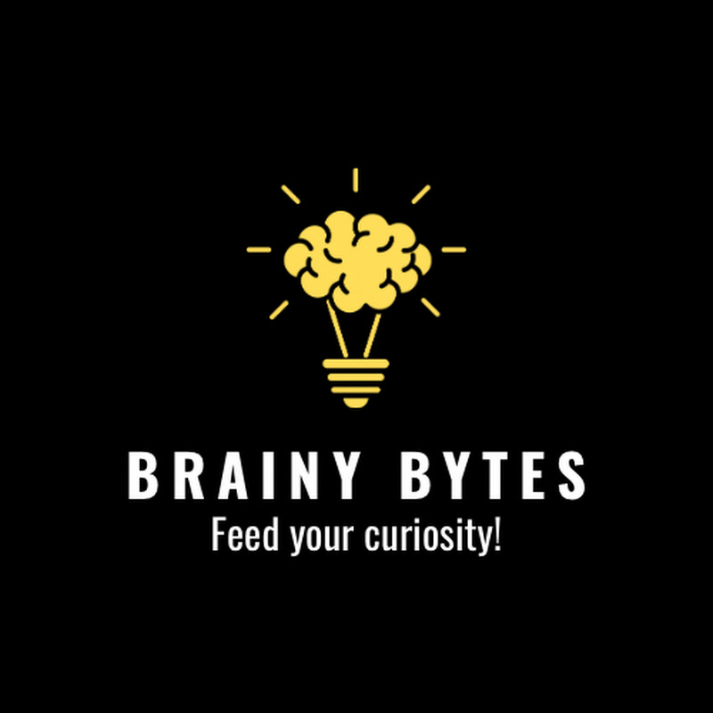 Brainy Bytes