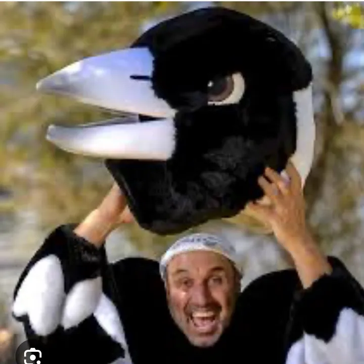 The Magpie Man