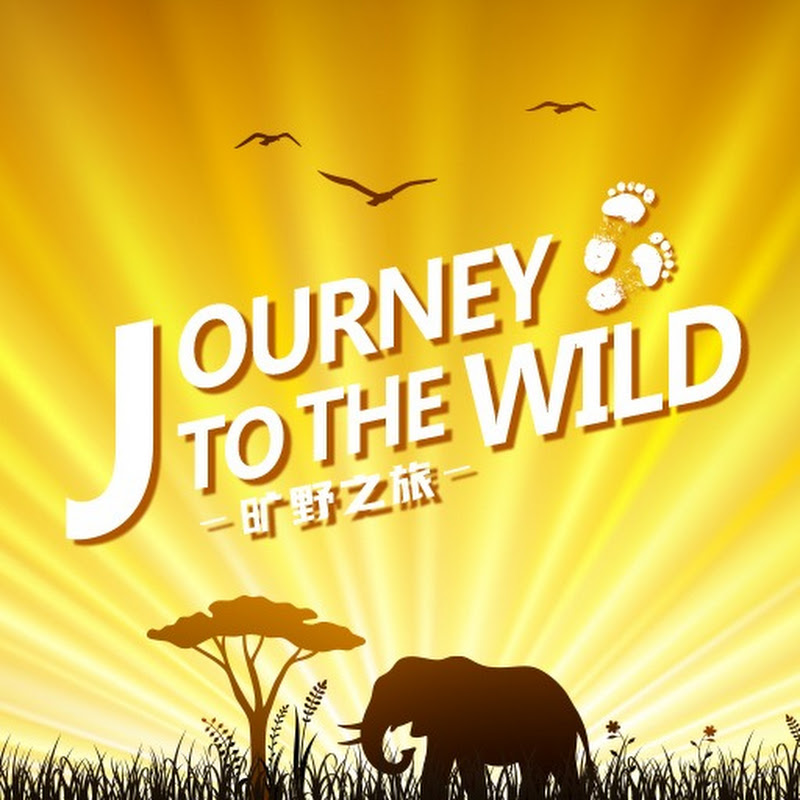 Journey to the Wild 旷野之旅