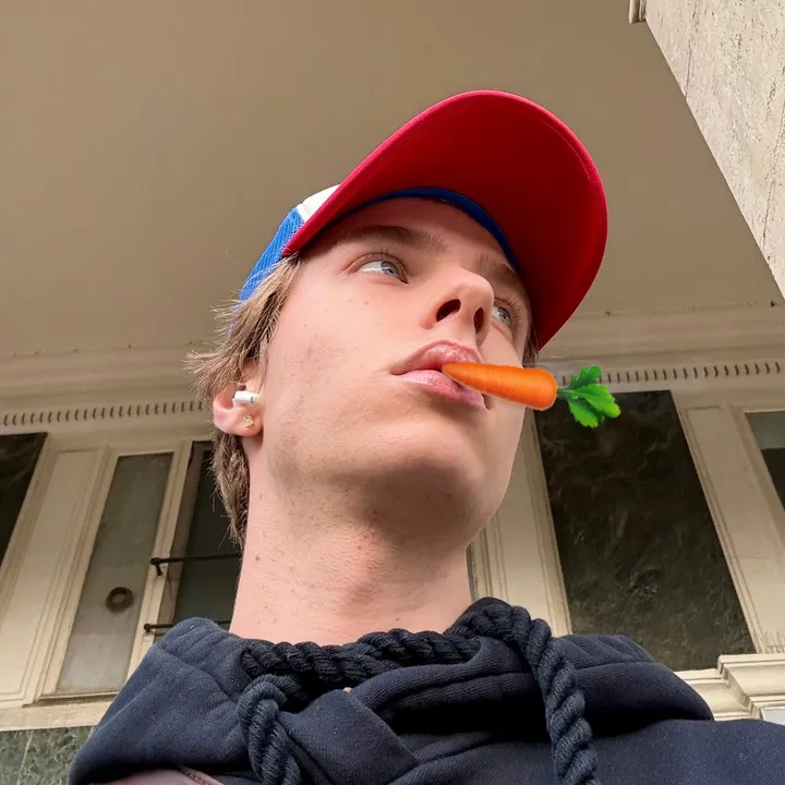 hugodeshusses