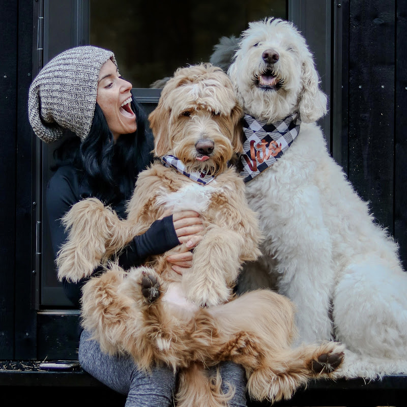 me • my doods • and i