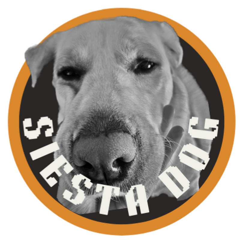 Siesta Dog TV