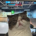 GamerCat