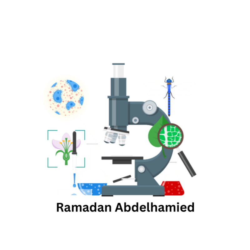 Science with Mr Ramadan دروس ساينس اون لاين 