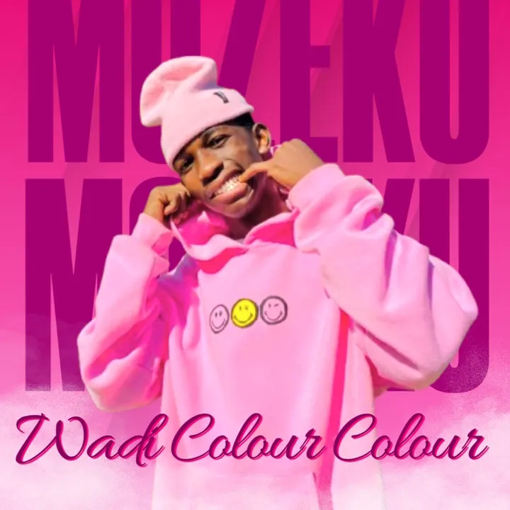 mozeku_di_colour_colour