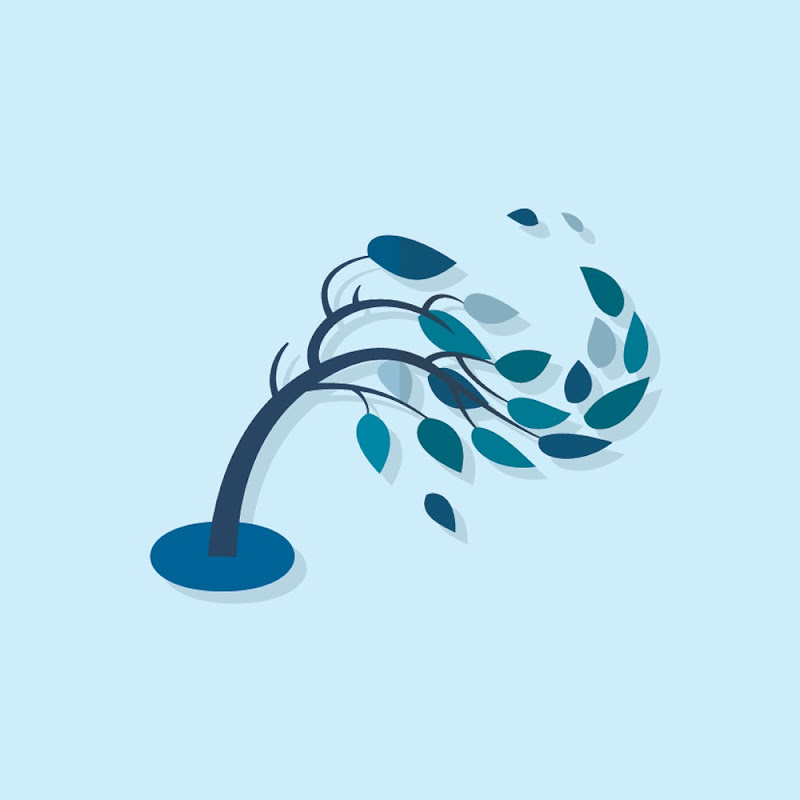 Relaxing Sounds Of Nature