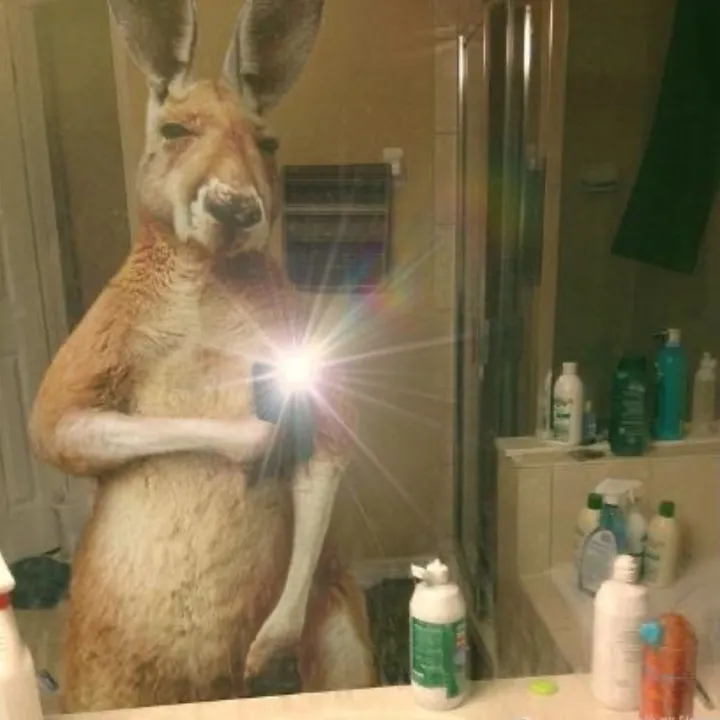 Braulio Vega Quitral