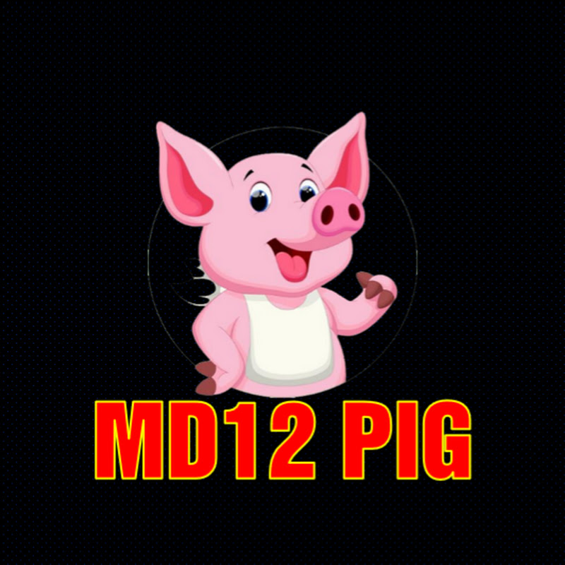 MD12 PIG