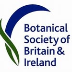 BSBI