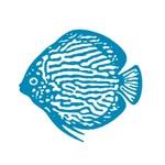 Aquarium Glaser GmbH