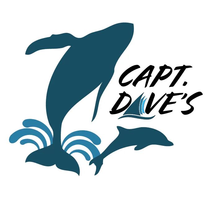 Capt Dave's Whale Watching