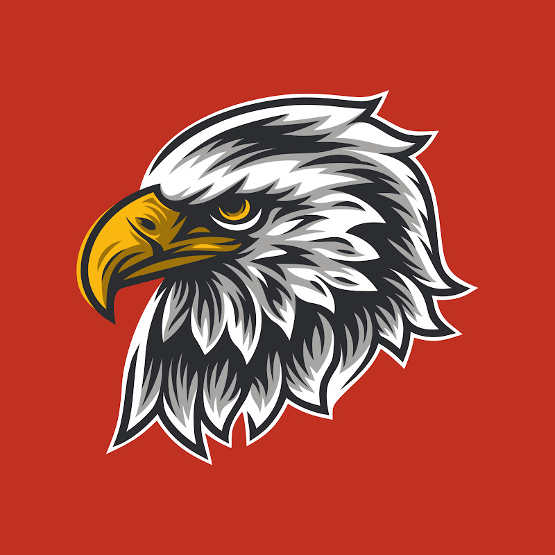 SAPSAN Cybersecurity & Military PL