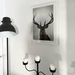 MyHomeDecor