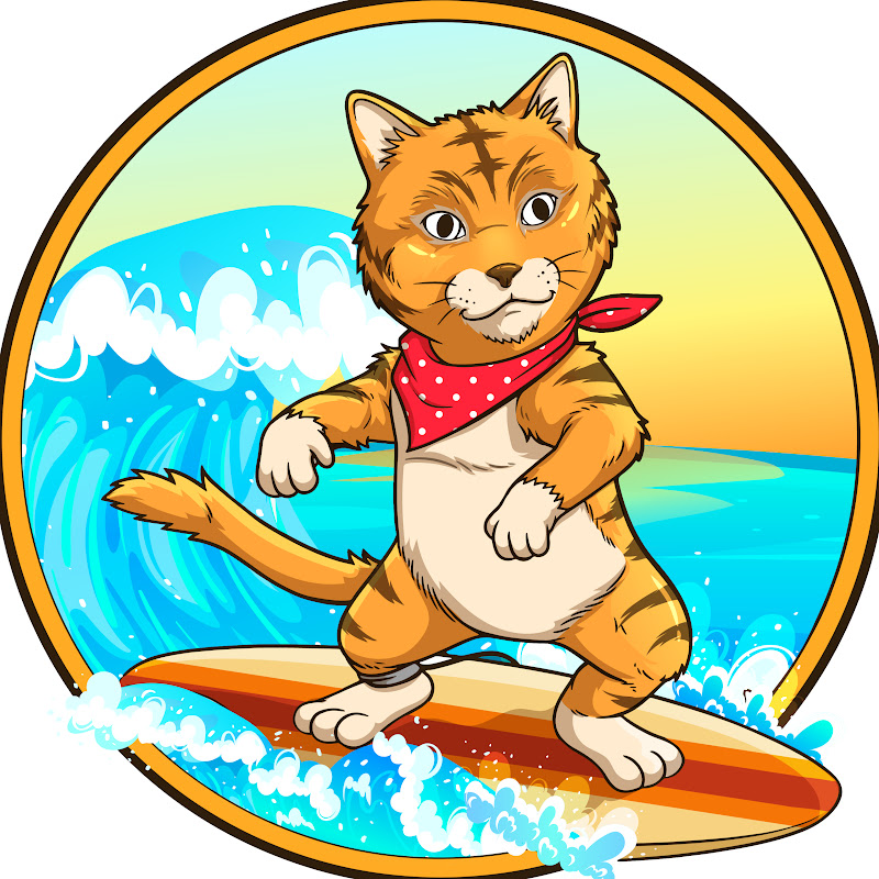 Surfing Cat