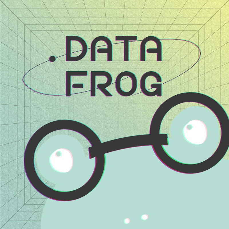Data Frog 