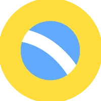 The Brazilian Report