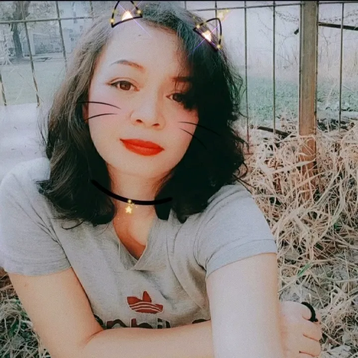 Katzen