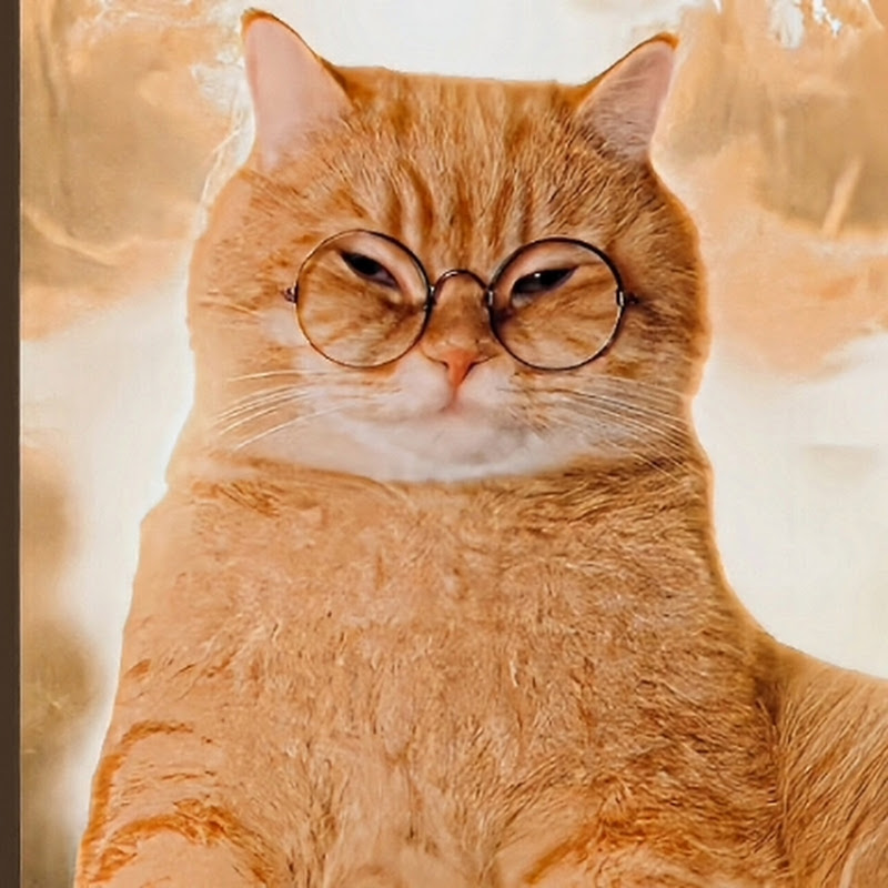 𝙎𝘼𝙌𝙞 𝙀𝘿𝙄𝙏𝙊