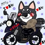 ฅ՞•ﻌ•՞ฅ黒柴犬♂真心(まろ)