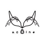 Acbine/아크바인