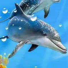 OceanExplorer