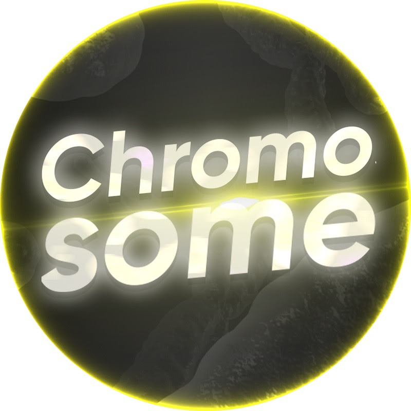 Chromosome