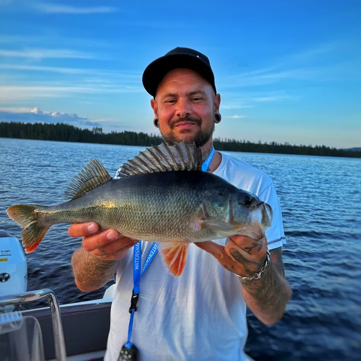 Rickard Källström