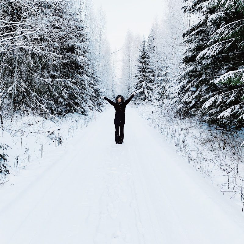Finlandia Diaries