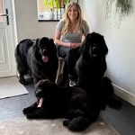 Flossie ❤️ Luna ❤️ Bumble ❤️ Candy ❤️ Iwona & Andy