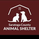 Saratoga County Animal Shelter