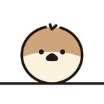 하이주디