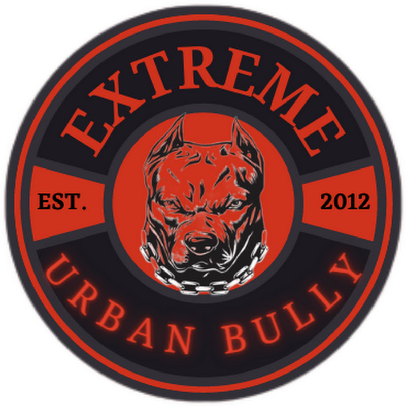 EXTREME URBAN BULLY : DOGMAN TIM