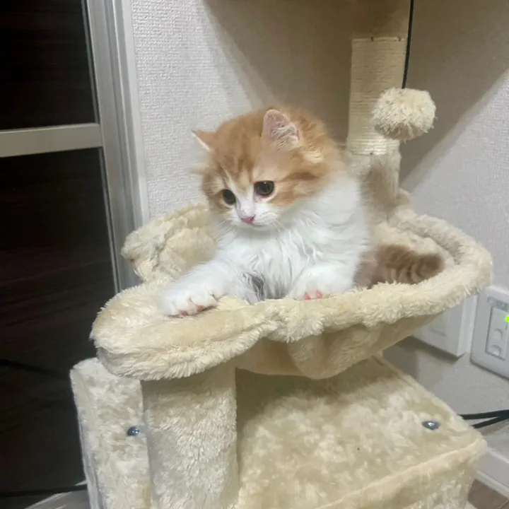 うにさん