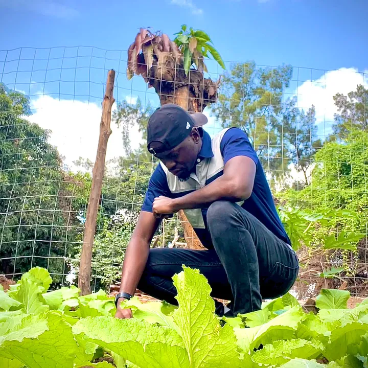 Ankra Farms🥬